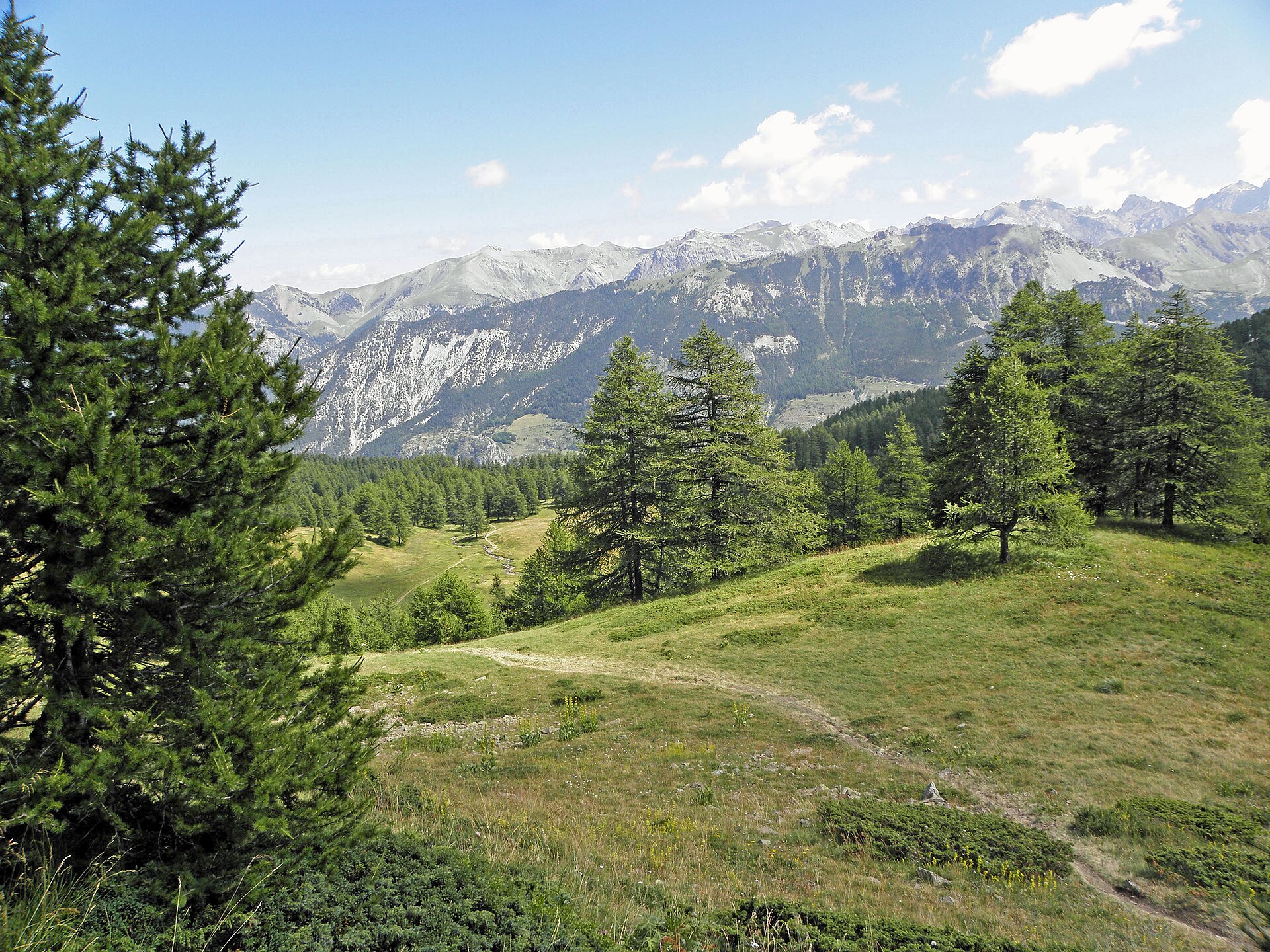 VTT : descente, cross-country, enduro